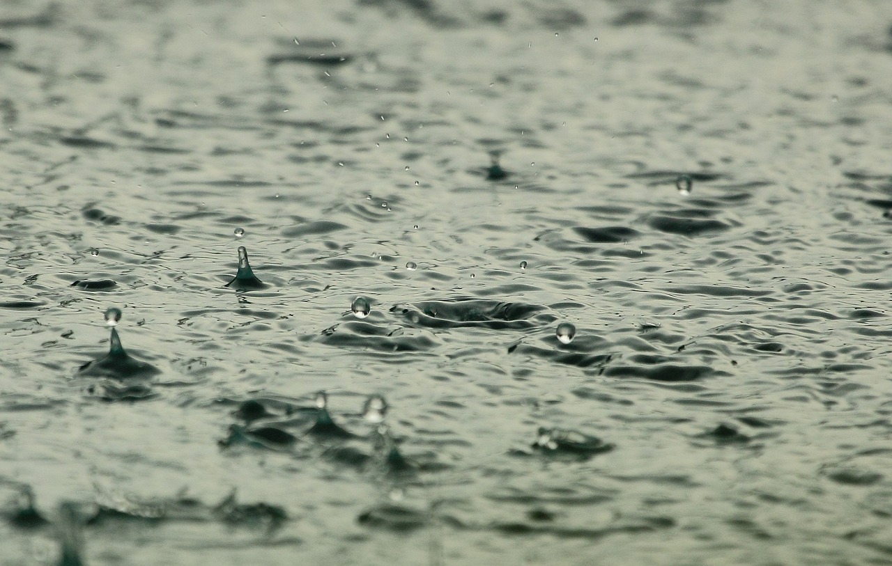 prognoza meteo