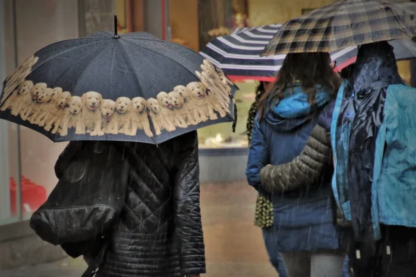 Prognoza meteo ne obligă să punem cojocul pe noi. Decembrie în luna mai