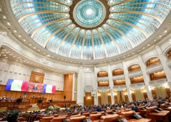 Senat