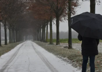 Prognoza meteo